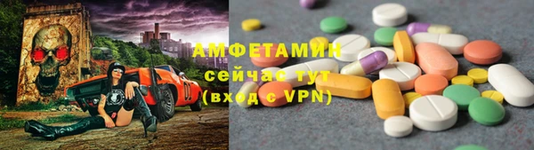 гашик Алексеевка