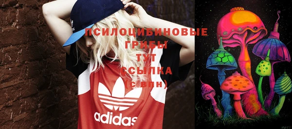 PSILOCYBIN Абаза