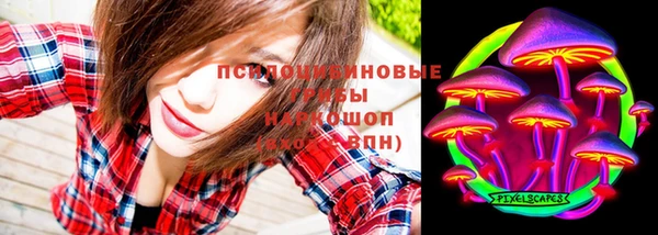 PSILOCYBIN Абаза