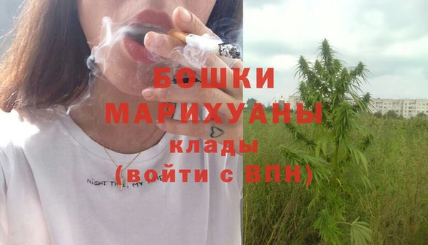 PSILOCYBIN Абаза